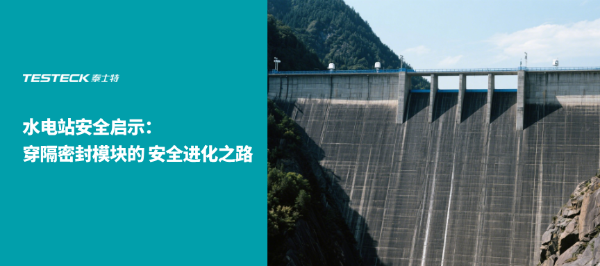 精選案例：泰士特破解平江抽蓄 140 萬千瓦機組下止漏環